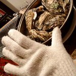 かき小屋 - お通し　蒸し牡蠣