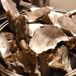かき小屋 - お通し　蒸し牡蠣　を食べただけなのにこうなりました！