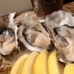 かき小屋 - ニュージーランド産（オークランド）　１ヶ　330円