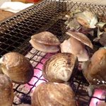 かき小屋 - ハマグリ　500円