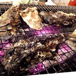 かき小屋 - 焼き用　　　今、旬のカキ　１kg　　980円