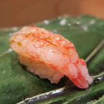 鮨 山浦 - 28年9月　縞海老