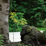 和食宿 菜々せ - 玄関