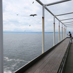 台風接近で此の日はクローズ