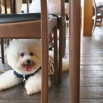 魚見亭 - 窓際のテーブルでランチ