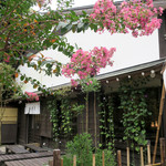 魚見亭 - サルスベリのお花が満開〜♬