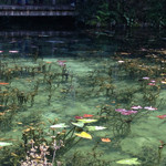 風土や - 綺麗すぎるモネの池♤撮影は2015年11月