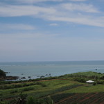 のばれ岬観光農園 - 