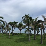 のばれ岬観光農園 - 