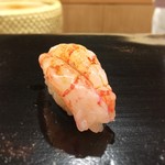 日本橋蛎殻町 すぎた - とろーりしまえび（2016/8）