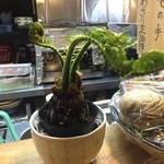 季節料理 薗 - ('16.03)