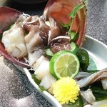 和幸寿司 - トリガイ