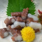 和幸寿司 - イイダコ、吸いつきます