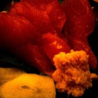 黒尊 - 050629黒尊かつお刺身.jpg