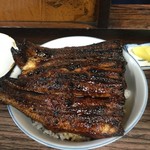 どっひゃあああああ～！！！！(；ﾟДﾟ)