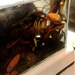 Fook Yuen Seafood Restaurant - 