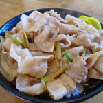 伝説のすた丼屋 - 【2010.11.　初訪】　セットのすた丼　上空から