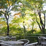 フレンチカフェ モンカシェート - 店内からの眺め