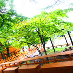 ハンモックカフェ - 