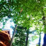 ハンモックカフェ - 
