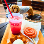 ハンモックカフェ - 