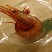 天厨菜館 新宿高島屋タイムズスクエア店 - [料理] 前菜 甘海老 アップ♪ｗ