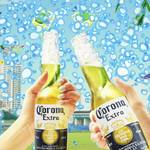 魚介ビストロｓａｓａｙａｋｉｔｏｋｉｔｏ - 