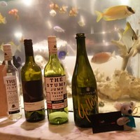 Wattle Tokyo - 