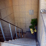 花れんこん - 階段で下ります