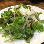 Date Shouten - りんごとパクチーのサラダ