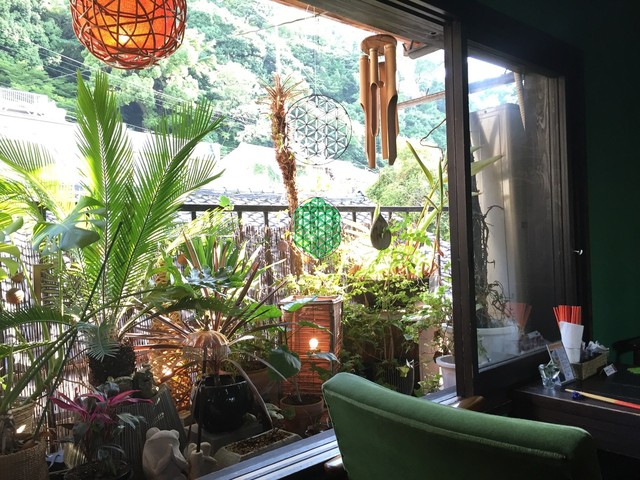 Asian chample foods goya photo 4