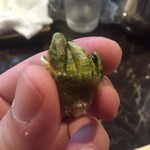 マッシュアップ - 亀の手