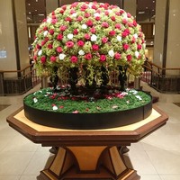 レ セゾン - 