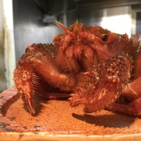 日本橋茅場町 寿司 鮮極 - 