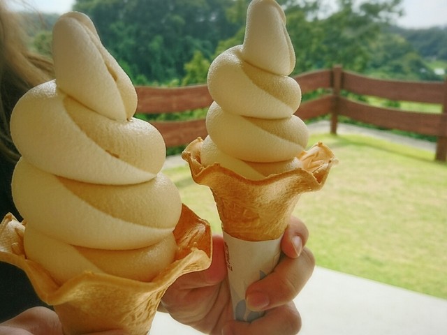まほろば大仏プリン本舗 ,
