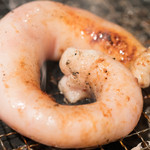ホルモンバー東京 - 2016.9 炭火の七輪で究極の一本丸腸を焼いています