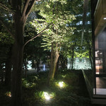 ザ・カフェ by アマン - 東京の大手町に木立ち・・