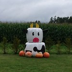 ヤツレン ソフトクリーム売店 - 