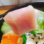 味処 佐とう - トロだよ