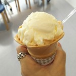 鶴岡市立加茂水族館 売店 - アイスクリームは中に凍ったクラゲが。