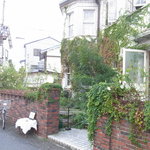 GOSPEL - お店外観です。蔦って半年でこんなに伸びるの（驚）末摘花のお屋敷のようです。