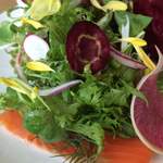 ワイエスシー スペースアンドカフェ ヨコハマ - 7種類以上の野菜に、食べられる花を散らせて。