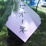 カラフルぶどう園 - 食べていい印あります