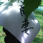 Karafuru Budouen - この傘が食べていい印
