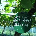 カラフルぶどう園 - 札が出てるとわかりやすい