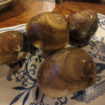 岩山海 - ハマグリ