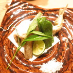 來経 - 高知県吉野川産鮎の唐揚げ