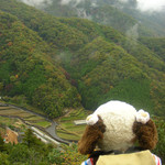 おみやげ街道 - 
      そして目的地の岡山県高梁(たかはし)市にとうちゃ～く♪
      バスでかなり山の上まで登ってきたけど、
      今日ボキらが訪れるのは日本三大山城の一つで、
      全国で一番高い所にあるお城、備中松山城なんだよ。