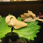 菊水鮓 - 蒸しあわびの肝，ひも
      　