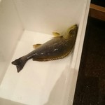 どまん中 秋葉原店 - 